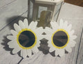 Daisy Crazy Sunnies